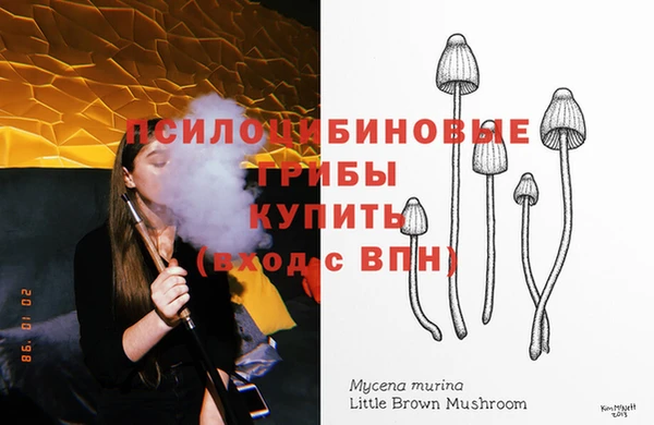 прущие крисы Абаза
